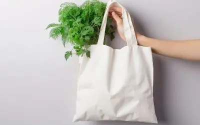 Ecobags para Eventos: Lembranças Ecológicas